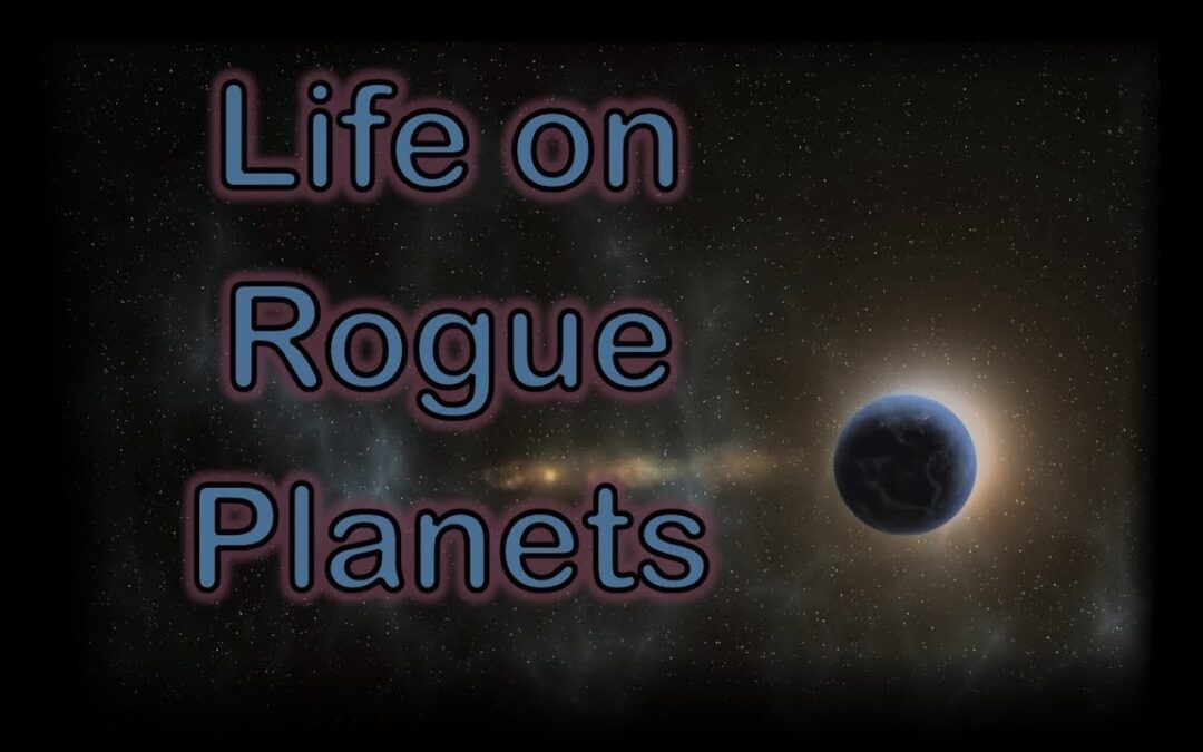 Habitable Planets 4: Life on Rogue Planets