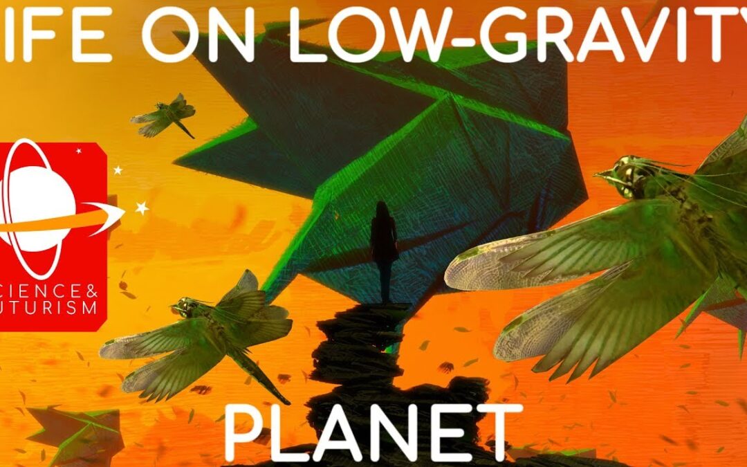 Life on a Low-Gravity Planet