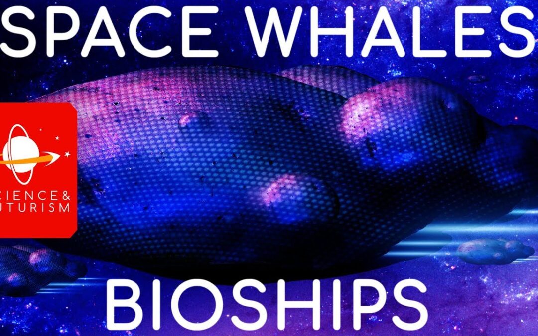 Space Whales & Bioships
