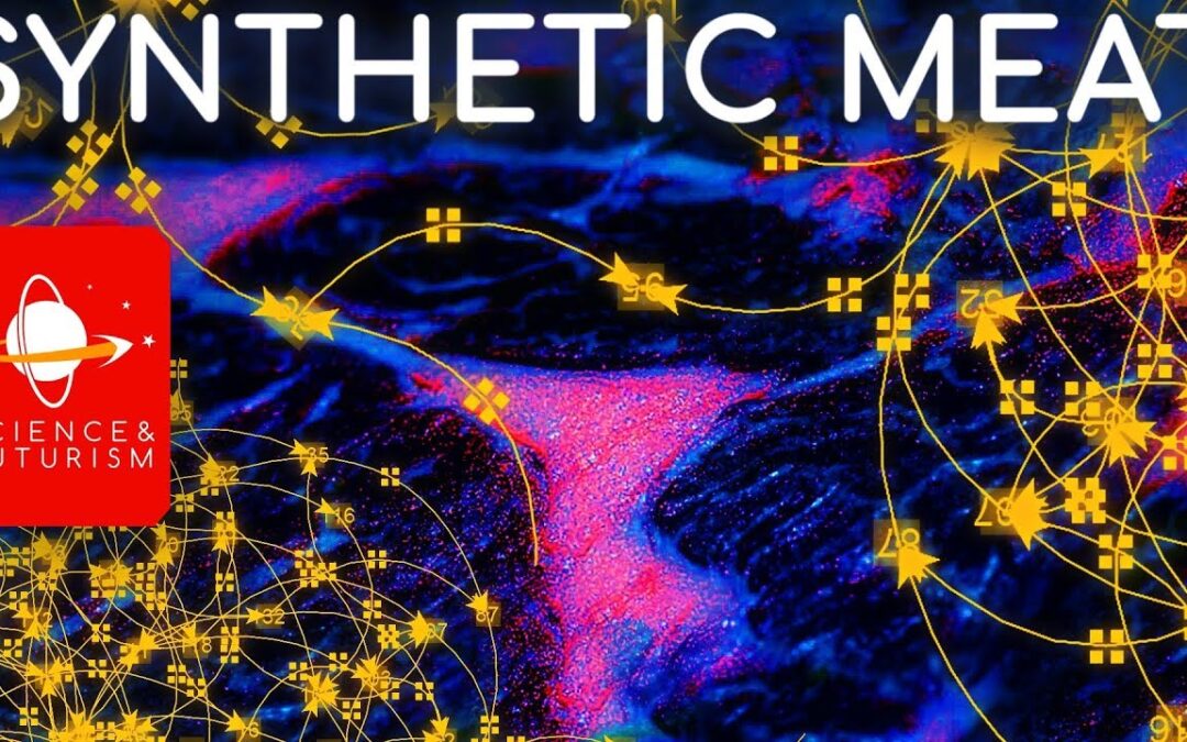 Synthetic Meat
