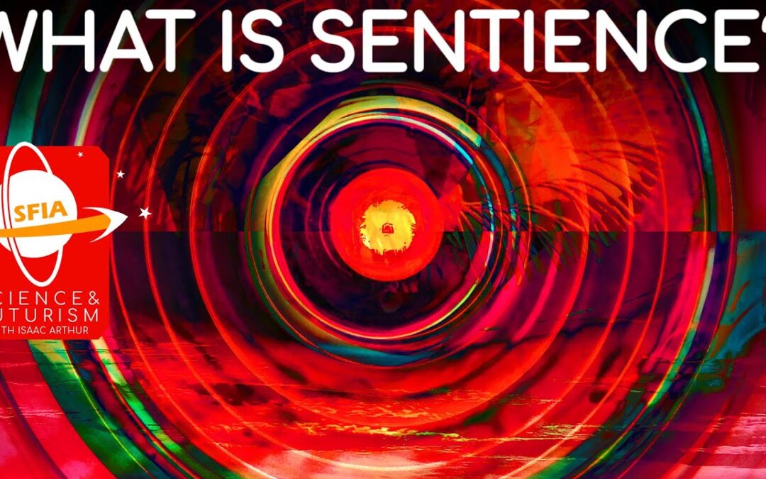 What is Sentience?