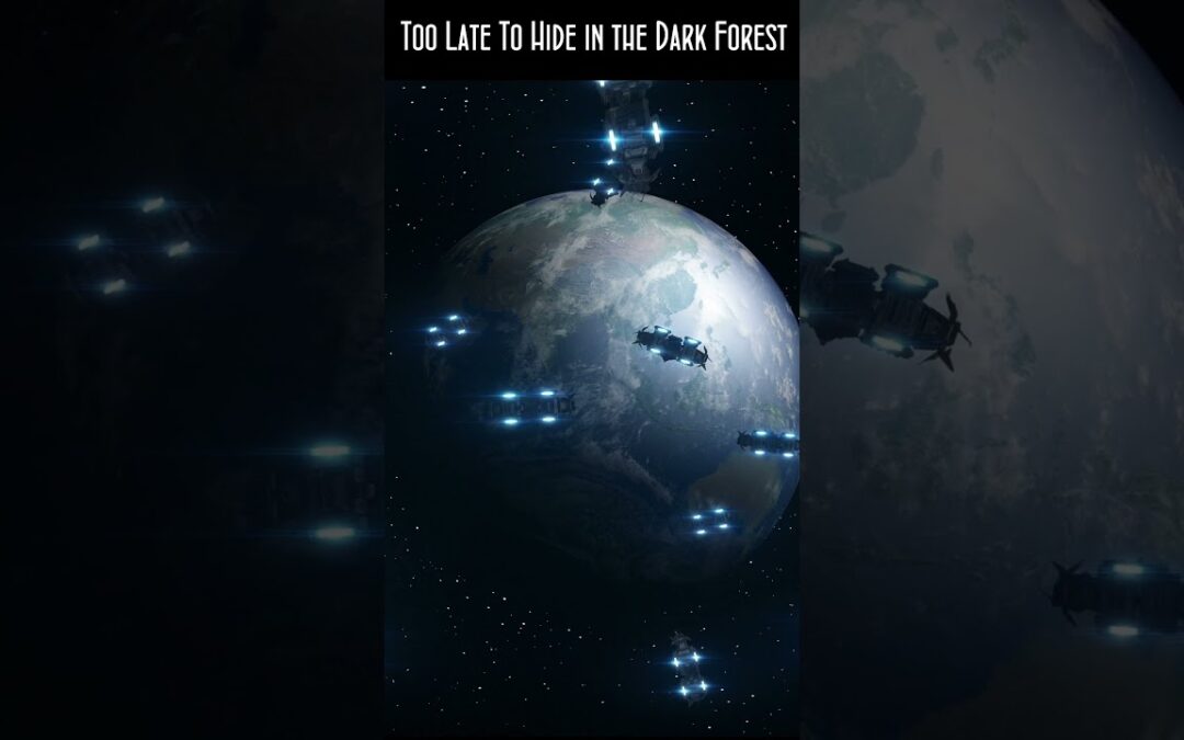 Too Late To Hide In The Dark Forest