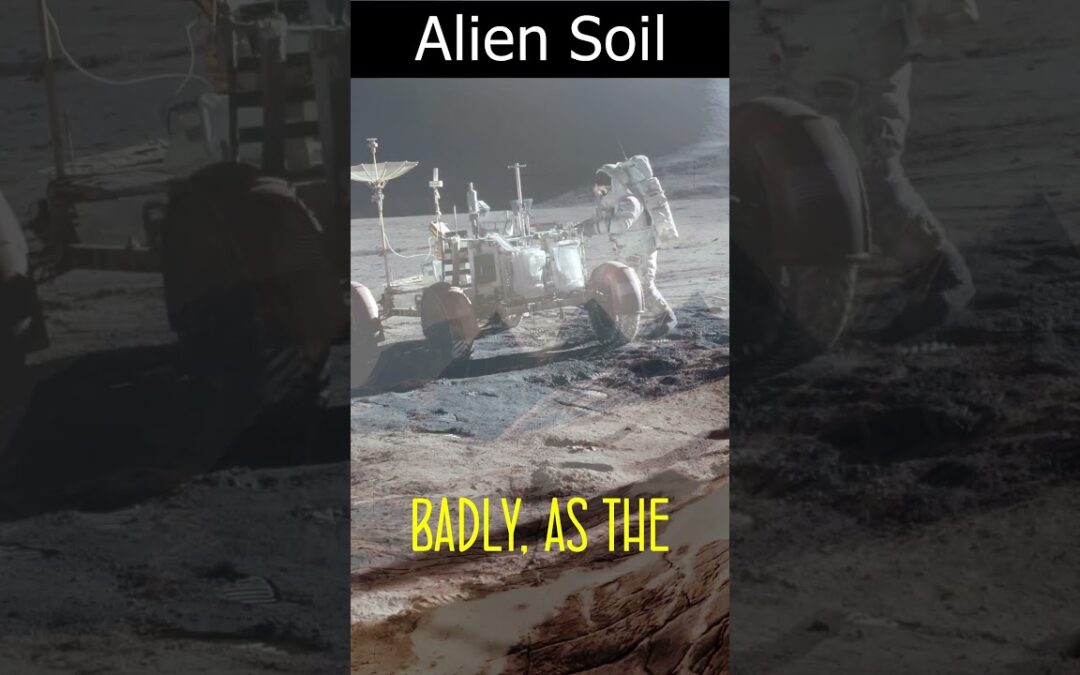 Alien Soil  #space #spacecolonization
