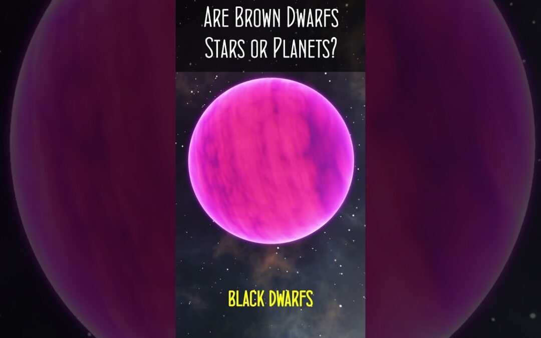 Are Brown Dwarfs Stars or Planets?