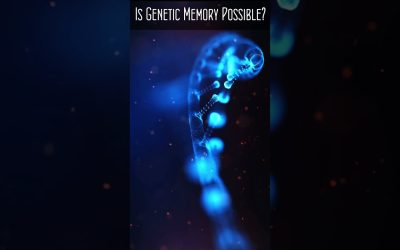 Is Dune-Style Genetic Memory Possible?